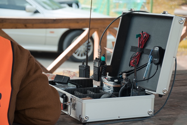 vaja-rusevina-2016-123