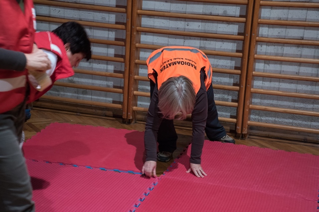 vaja-rusevina-2016-5